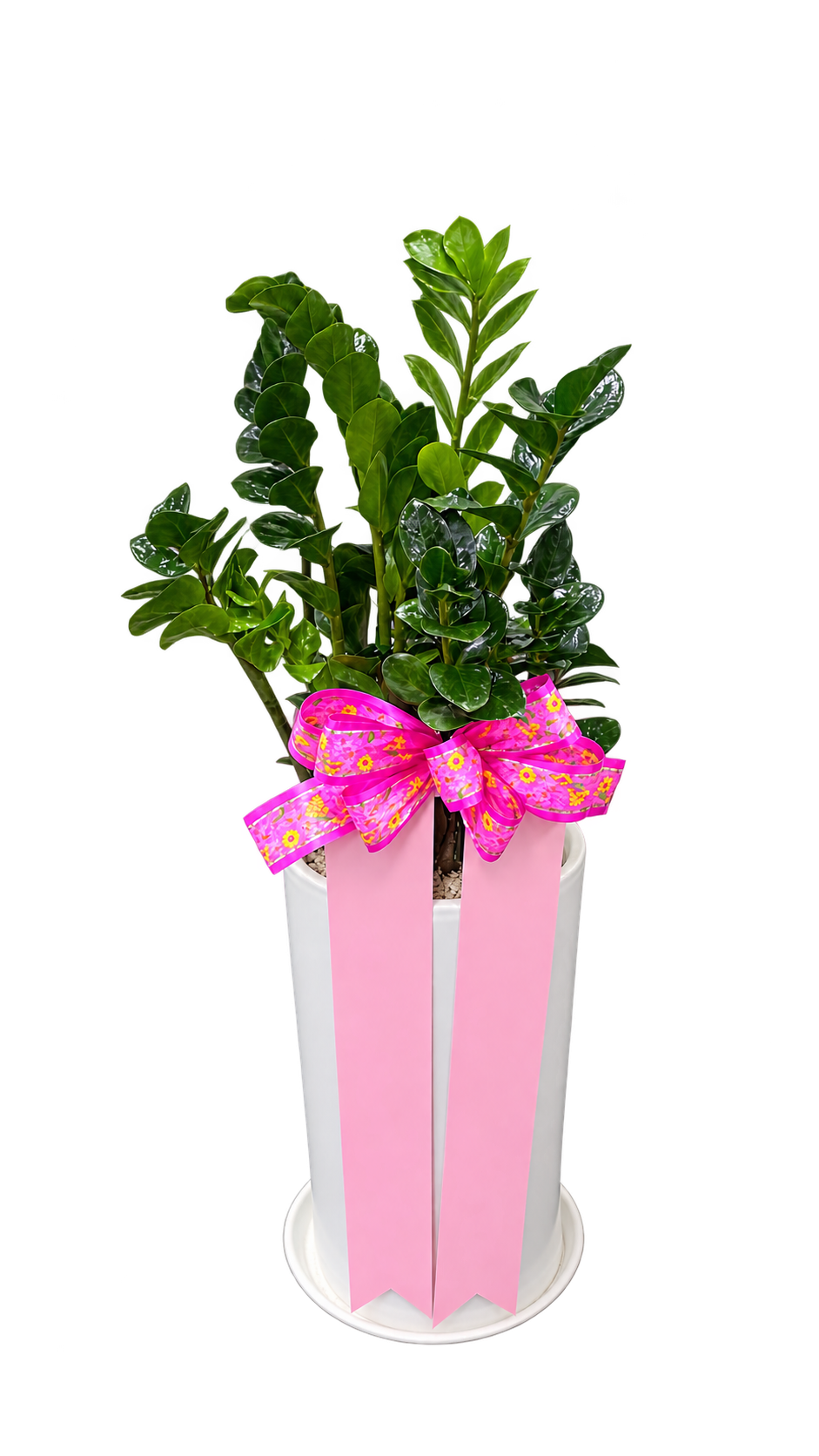 2a1d81c5e5c2610c97fe349ddd60e9f3_1788938155_1503.png